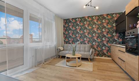 One bedroom apartment, Mlynarovičova, Sale, Bratislava - Petržalka, Sl