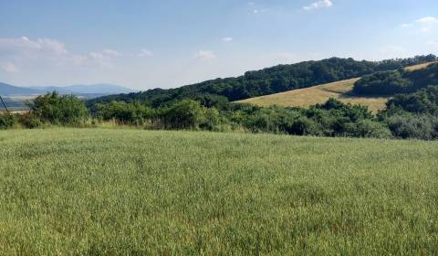 Sale Land – for living, Košice-okolie, Slovakia