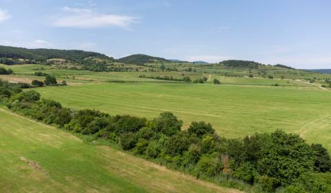 Sale Recreational land, Recreational land, Rozálka, Pezinok, Slovakia