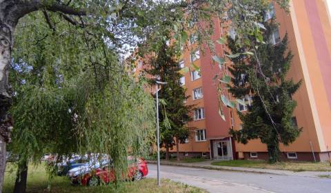 Sale One bedroom apartment, One bedroom apartment, Matice Slovenskej, 