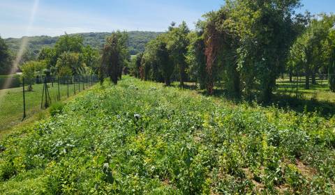 Sale Land – for living, Land – for living, Neusiedl am See, Austria