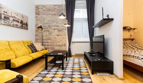 Practical modern apartment with parking for rent