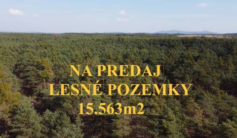 Sale Agrarian and forest land, Agrarian and forest land, Senica, Slova