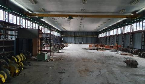 Sale Production premises, Production premises, Ilava, Slovakia