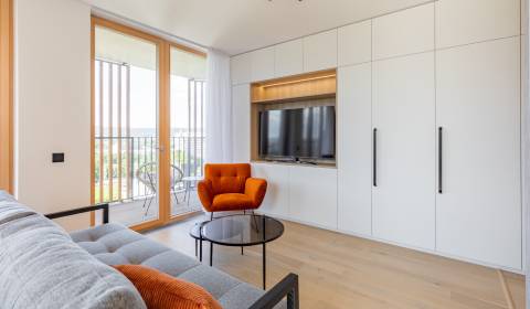 Charming 1 room apt 33 m2, with A/C, loggia and parking, NIDO