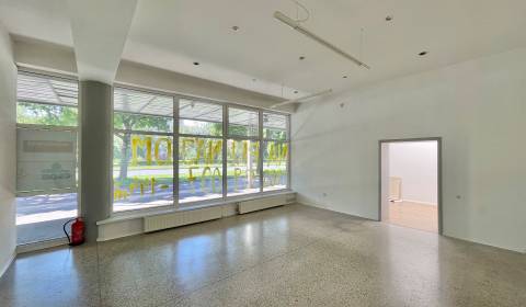 Sale Building, Building, Jilemnického, Martin, Slovakia