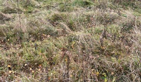 Sale Land – for living, Land – for living, Čadca, Slovakia