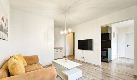 Sale One bedroom apartment, One bedroom apartment, Rašu, Bratislava - 