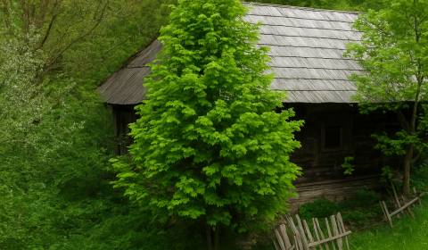 Sale Land – for living, Land – for living, Mladoňov, Púchov, Slovakia