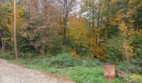 Sale Recreational land, Recreational land, Poľany Monika, Vranov nad T