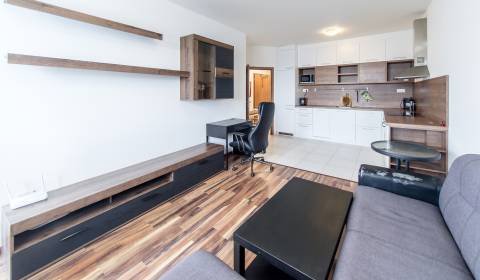 Great 1bdr apt 47m2, with loggia and parking, JÉGEHO ALEJ