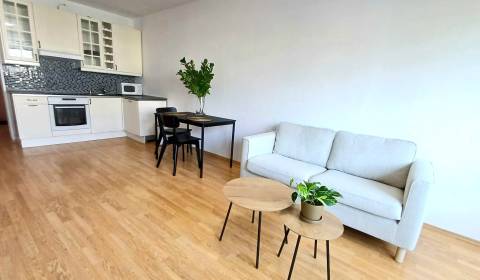 Rent One bedroom apartment, One bedroom apartment, Jégého, Bratislava 