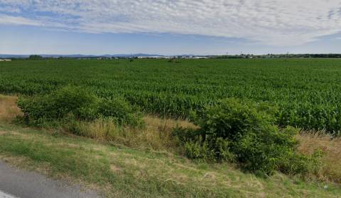 Sale Development land, Development land, Bratislavská, Senec, Slovakia