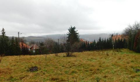 Sale Land – for living, Land – for living, neuvedená, Zlaté Moravce, S
