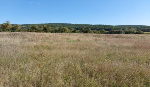 Sale Recreational land, Recreational land, Žiar nad Hronom, Slovakia