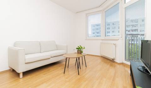 METROPOLITAN IBright 1-room apartment in the new building of Jége Alej