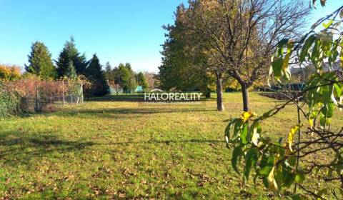 Sale Family house, Senica, Slovakia