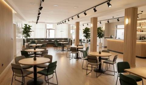 Rent Commercial premises, Commercial premises, Bottova, Žilina, Slovak