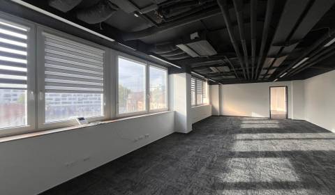 Rent Offices, Offices, Svätoplukova, Bratislava - Ružinov, Slovakia