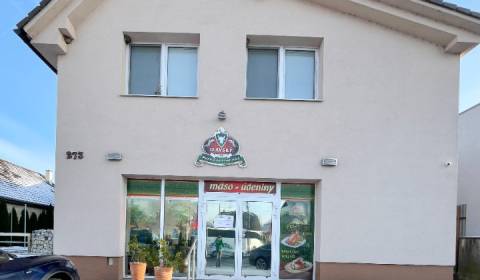 Rent Commercial premises, Commercial premises, Trenčín, Slovakia