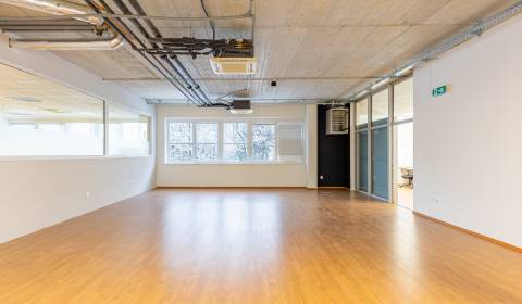 Great, flexible premises 345m2 in very good area, DOMINANT