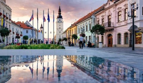 Sale Storehouses and Workshops, Storehouses and Workshops, Trnava, Slo