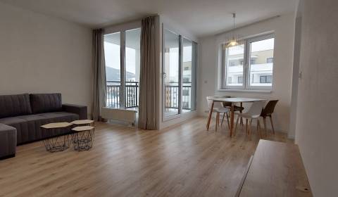 Rent One bedroom apartment, One bedroom apartment, Vladimíra Predmersk