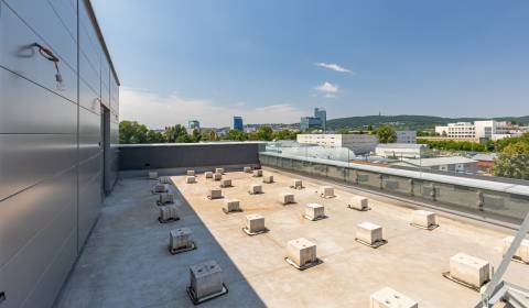 Sunny business apartment 85 m2, with terrace 60 m2 with a view