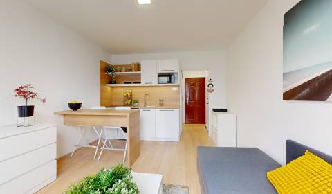 Rent Single studio, Single studio, Vodná, Komárno, Slovakia