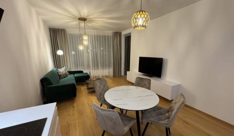 Rent One bedroom apartment, One bedroom apartment, Sky Park, Bratislav
