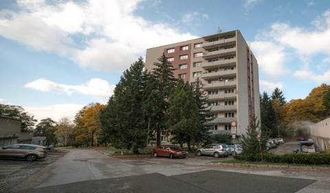 Searching for Two bedroom apartment, Two bedroom apartment, Partizánsk