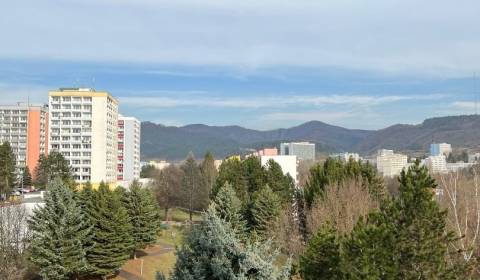Searching for One bedroom apartment, One bedroom apartment, Trieda Hra