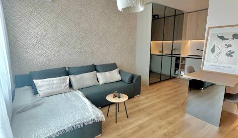 Rent One bedroom apartment, One bedroom apartment, Ivanská cesta, Brat