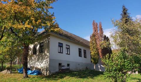 Sale Cottage, Cottage, Hrubá Strana, Nové Mesto nad Váhom, Slovakia