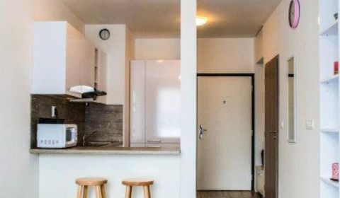 Rent One bedroom apartment, One bedroom apartment, Zuzany Chalupovej, 