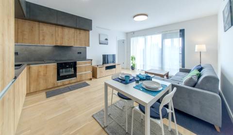 Beautiful 1 bdr apt 49m2, with balcony and parking, GUTHAUS