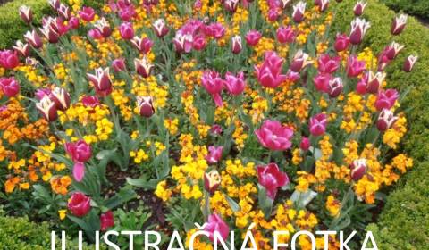 Sale Gardens, Gardens, Hlboká cesta, Martin, Slovakia