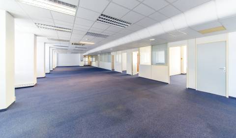 Administrative spaces 310m2, layout changes, parking, INCHEBA TOWER