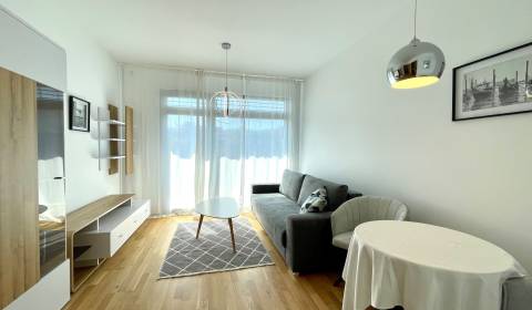 Rent One bedroom apartment, One bedroom apartment, Rudolfa Mocka, Brat