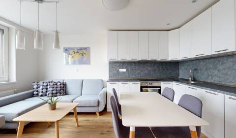 Modern apartment in Nobelova project