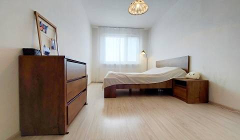 Sale One bedroom apartment, One bedroom apartment, Laca Novomeského, P