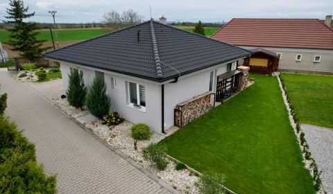 Sale Family house, Family house, Dvory nad Žitavou, Nové Zámky, Slovak
