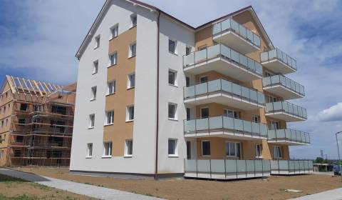 Searching for One bedroom apartment, One bedroom apartment, Muškátová,