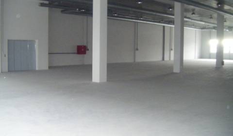 Warehouse (405m2), commercial (375m2, 150m2) and administrative Spaces