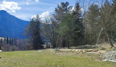 Sale Recreational land, Recreational land, Terchová, Žilina, Slovakia