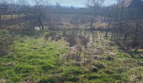 Sale Land – for living, Land – for living, Levice, Slovakia