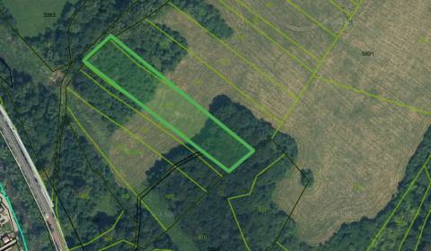 Sale Agrarian and forest land, Agrarian and forest land, Púchov, Slova