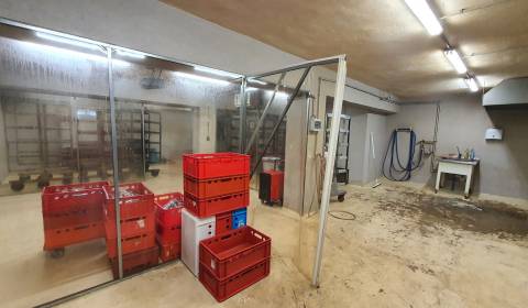 Sale Production premises, Production premises, Veľký Krtíš, Slovakia