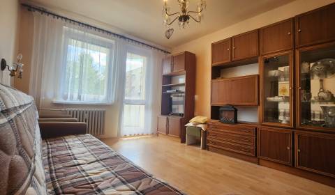 Sale Two bedroom apartment, Two bedroom apartment, Dibrovova, Nové Mes