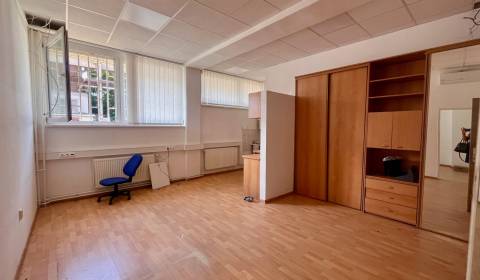 Rent Offices, Offices, Mlynské nivy, Bratislava - Ružinov, Slovakia